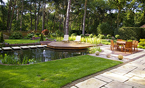 Case Study - Pond